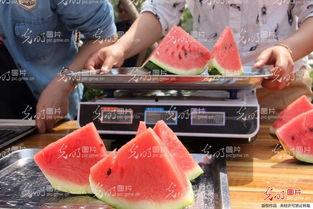 娱乐吃瓜酱重庆山东